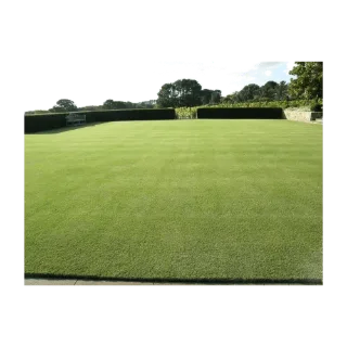 Santa Ana Grass