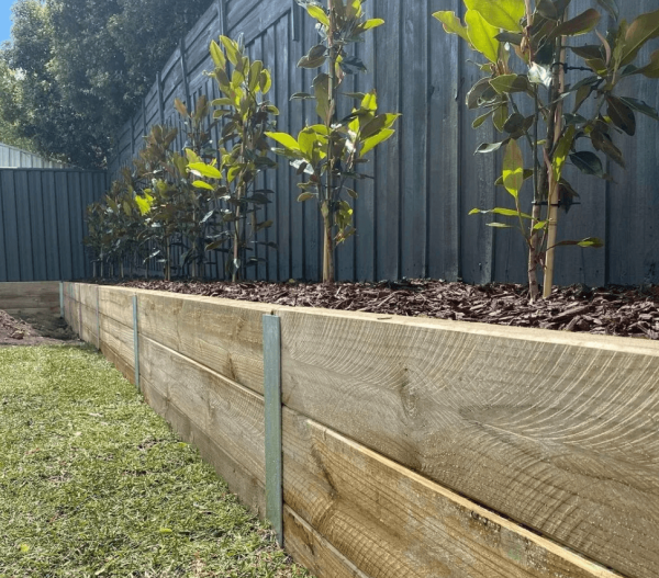 Treated Pine Sleepers 200 x 50mm - BuildBarn Melbourne.