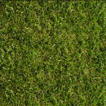 Lush Artificial Turf 40mm - BuildBarn Melbourne.