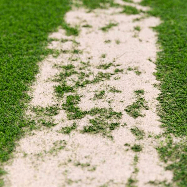 Synthetic Turf Infil Landscape Sand（20KG） - BuildBarn Melbourne.