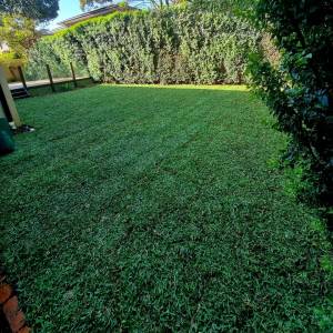 BuildBarn Melbourne Timber Supply - Buffalo Prestige