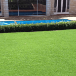 Santa Ana Grass - BuildBarn Melbourne.