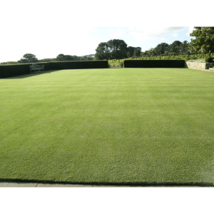 BuildBarn Melbourne Timber Supply - Santa Ana Grass