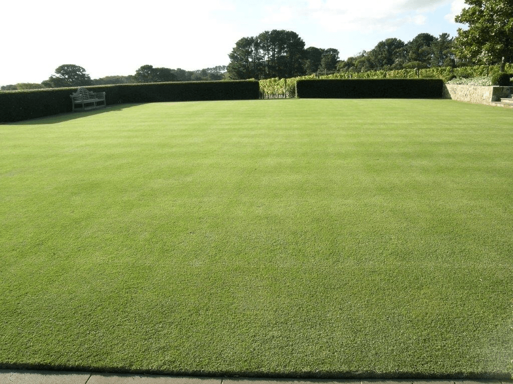 BuildBarn Melbourne Timber Supply - Santa Ana Grass