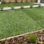 Kikuyu Grass - BuildBarn Melbourne.