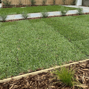 BuildBarn Melbourne Timber Supply - Kikuyu Grass