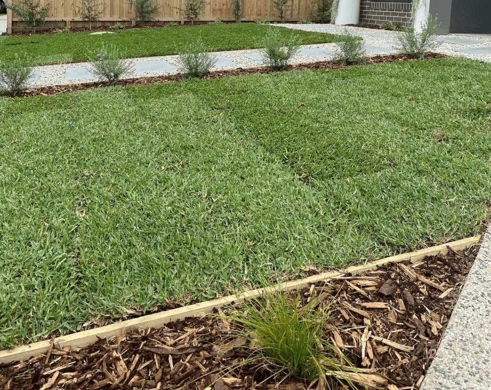 BuildBarn Melbourne Timber Supply - Kikuyu Grass