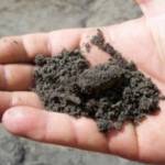 Lawn Mix - BuildBarn Melbourne