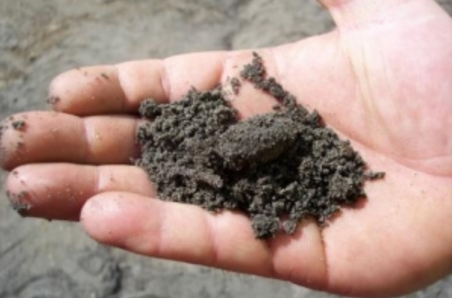 Lawn Mix - BuildBarn Melbourne.