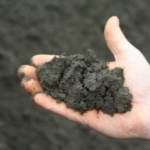 Top Soil - BuildBarn Melbourne