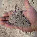 Propagating Sand - BuildBarn Melbourne.