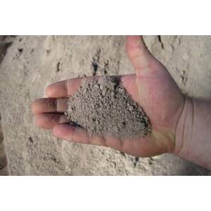 Propagating Sand - BuildBarn Melbourne.