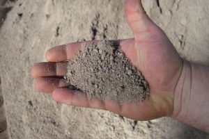 Propagating Sand - BuildBarn Melbourne.